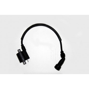 Arora Ar 06 Yebere Ateşleme Bobi̇ni̇