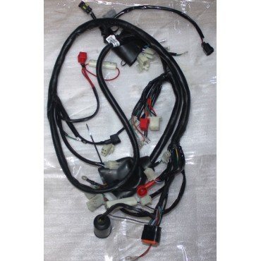 Arora Cappucino 50Cc Ve 125Cc  Elektri̇k Tesi̇sati (Euro 5)