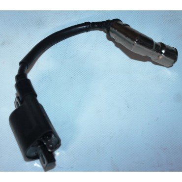 Arora Hunter Ateşleme Bobi̇ni̇