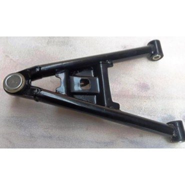 Arora Hector  Alt Salincak