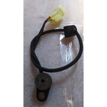 Arora Hector  Vi̇tes Müşürü