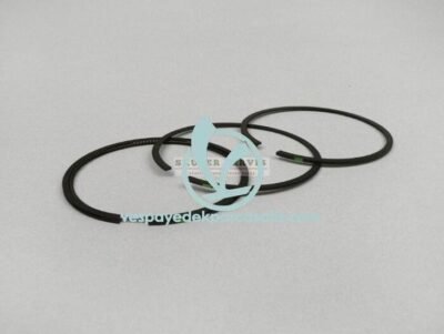 Parça: Sporci̇ty 250 Segman Set