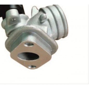 Arora Quantum  Enjeksi̇yon Mani̇foldu