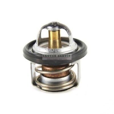 Parça: Gtv 300 Hpe Abs Rst Termostat