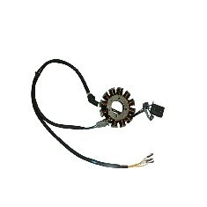 Yuki Ayder 250 Statör 12 li