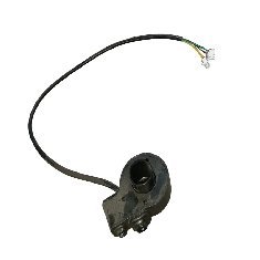 Yuki Caretta Düğme Butonu