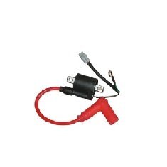 Yuki Dırtypaws 250 2T Ateşleme Bobini