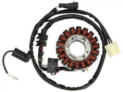 Parça: Gts 300 Hpe E5  Statör-Manyeto Tablasi